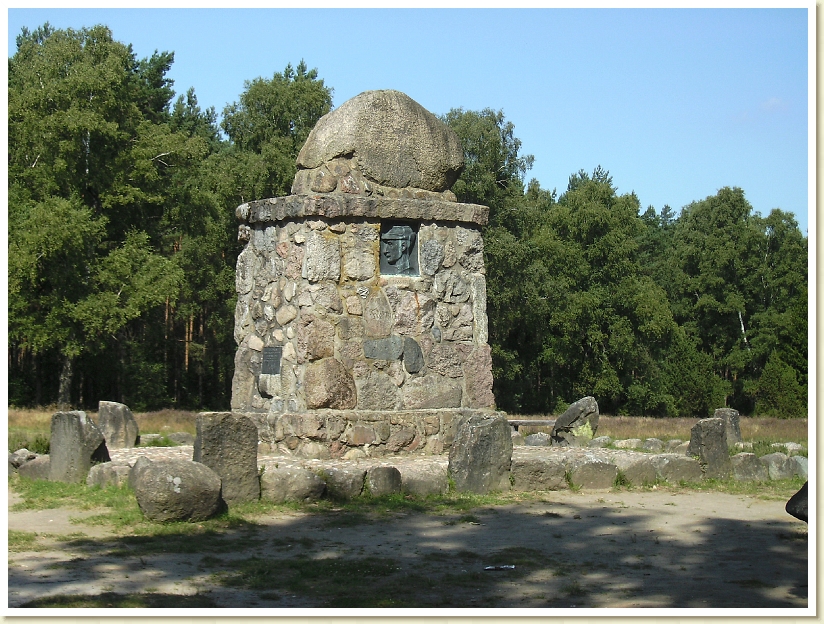 Lueneburgerheide_2009 (3)